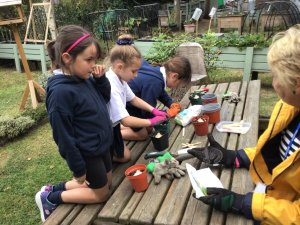 OUr-gardneing-club-runs-weekly-and-grow-produce-for-our-farm-shop.-Copy